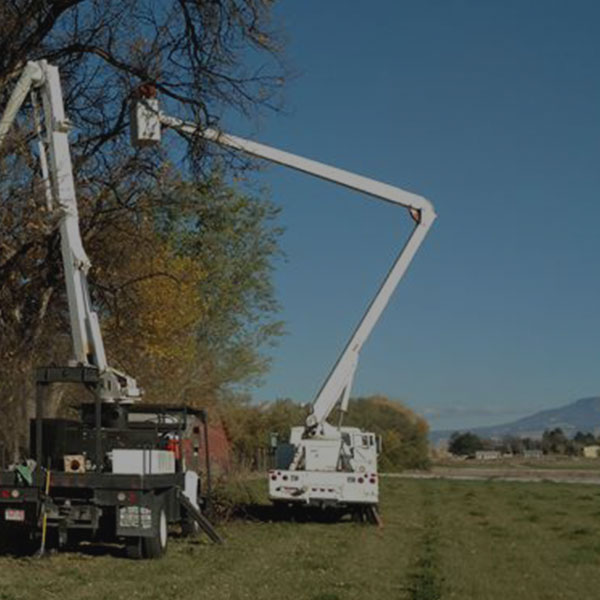 Lot Clearing by Alpine Tree Service