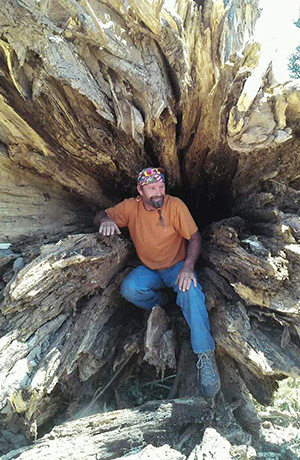 Large tree removal by Alpine Tree Service