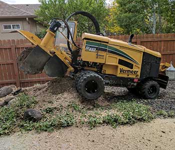 Stump Grinding by Alpine Tree Service