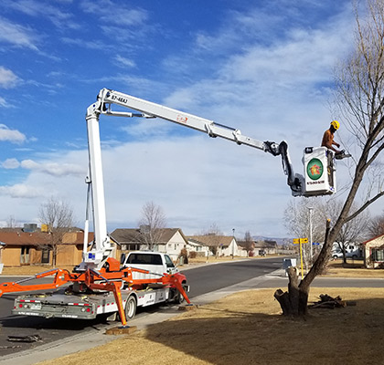 Alpine Tree Service bucket truck for tree trimming