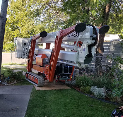 Alpine Tree Service equipment